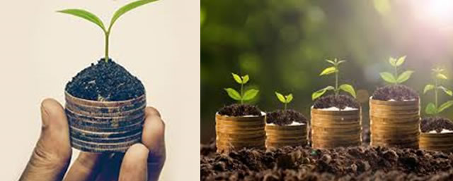 Savings Culture